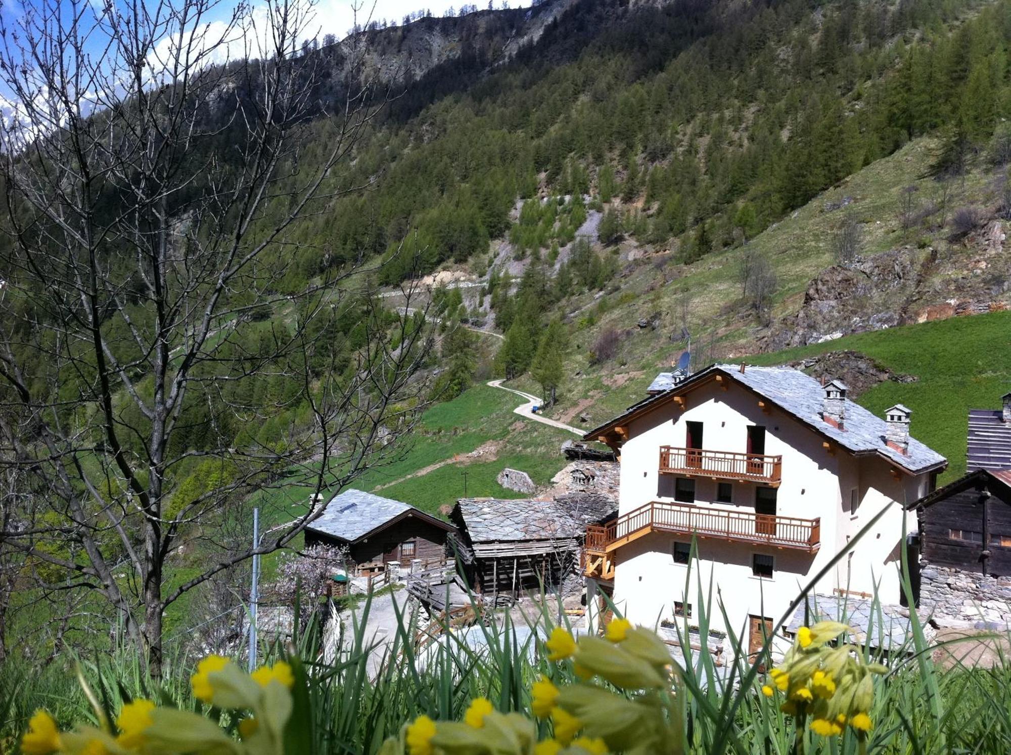 Alpe Rebelle Bed & Breakfast Bionaz Exterior photo